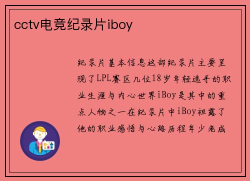 cctv电竞纪录片iboy