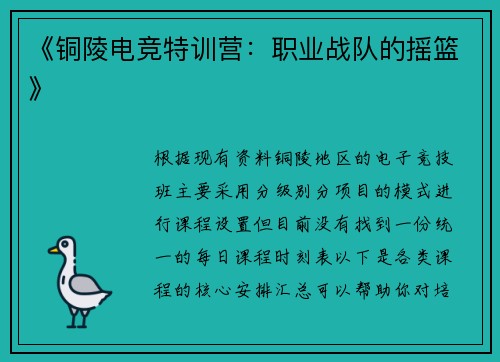 《铜陵电竞特训营：职业战队的摇篮》